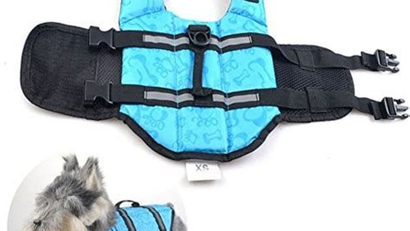 永磁变频螺杆压缩机：揭秘高效节能的秘密武器**
