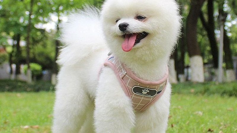 泗阳县护栏厂